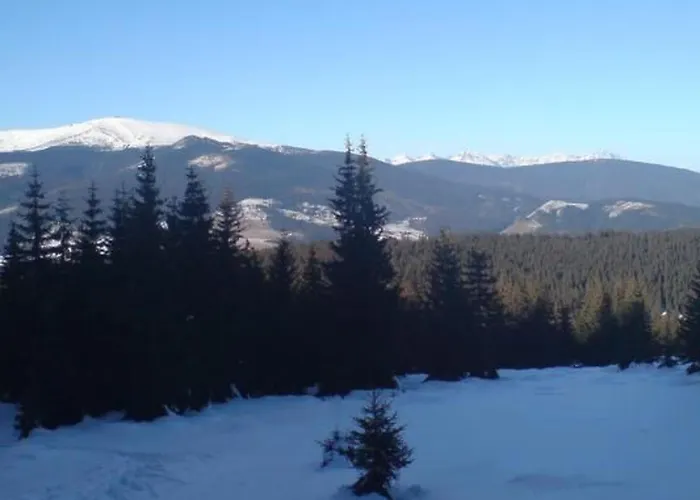 Ferienhaus Nettes In By Interhome